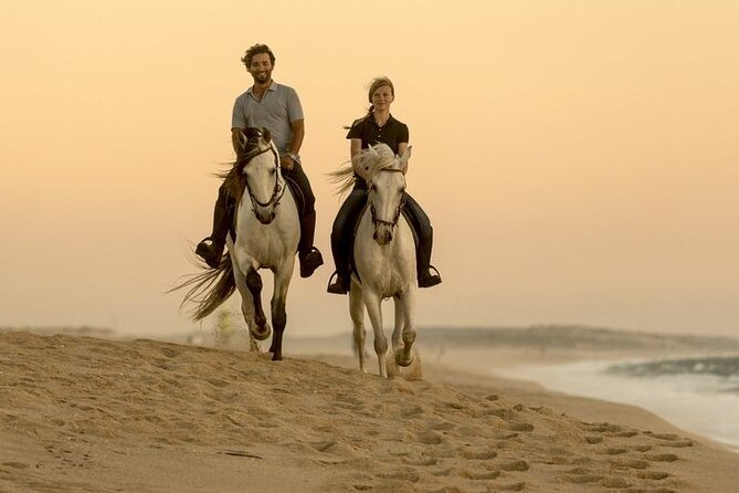 Sharm El Sheikh Horseback Riding with Pickup and Drop-off - Is $8.16 good value?