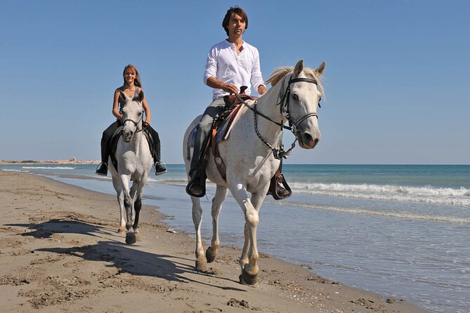 Sharm El Sheikh Horseback Riding with Pickup and Drop-off - Who should choose this experience?