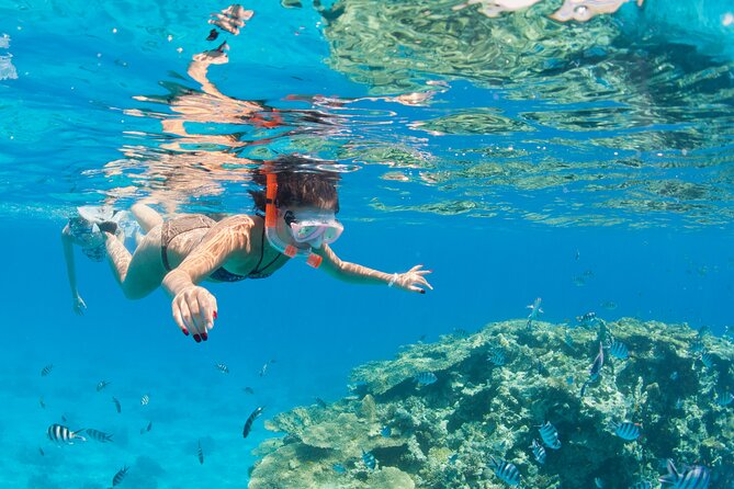 Sharm El-Sheikh: Jeep Adventure to Blue Hole, Canyon & Dahab - Walking through the 800-meter Colored Canyon