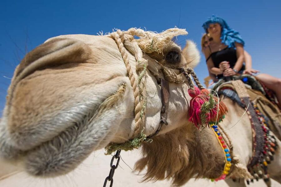 Sharm El-Sheikh: Morning Desert ATV Quad or Buggy Adventure - Quick points before you book