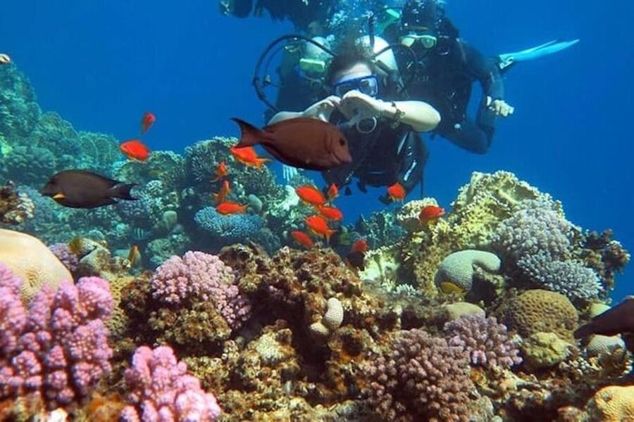 Sharm El-Sheikh: Parasailing, Camel Ride, Dive & Quad Bike - Banana boat fun over the waves