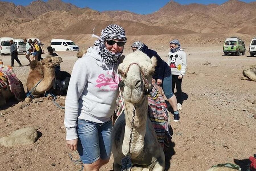 Sharm El-Sheikh: Parasailing, Camel Ride, Dive & Quad Bike - Who will enjoy this busy South Sinai day?