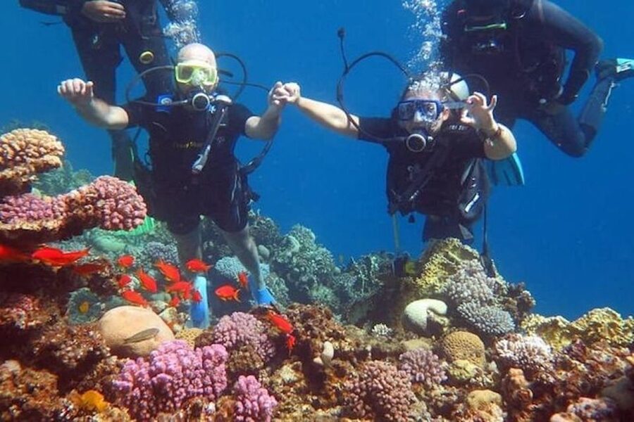 Sharm El-Sheikh: Parasailing, Camel Ride, Dive & Quad Bike - A camel ride with a change of pace