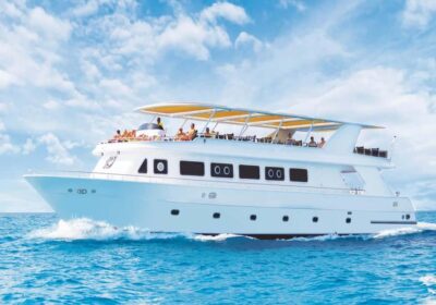 Premium Ras Mohammed & White Island Cruise