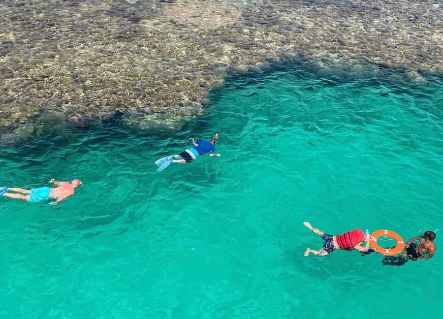 Sharm el-Sheikh: Premium Ras Mohammed & White Island Cruise - The first reef stop: good guidance matters