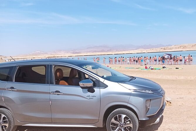 Sharm el Sheikh Private Airport Transfer - Timing, flight delays, and late-night arrivals