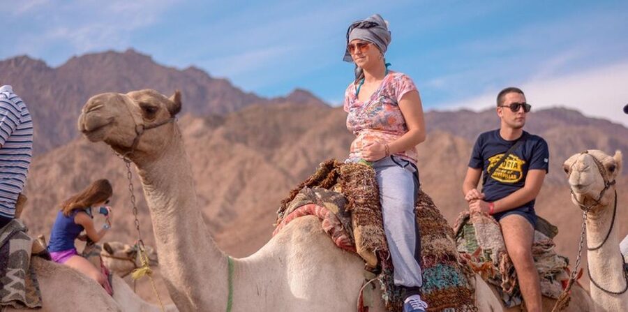 Sharm El Sheikh: Quad bike, Safari, Camel With Dinner & Show - Music, Dance, and the Bedouin Show