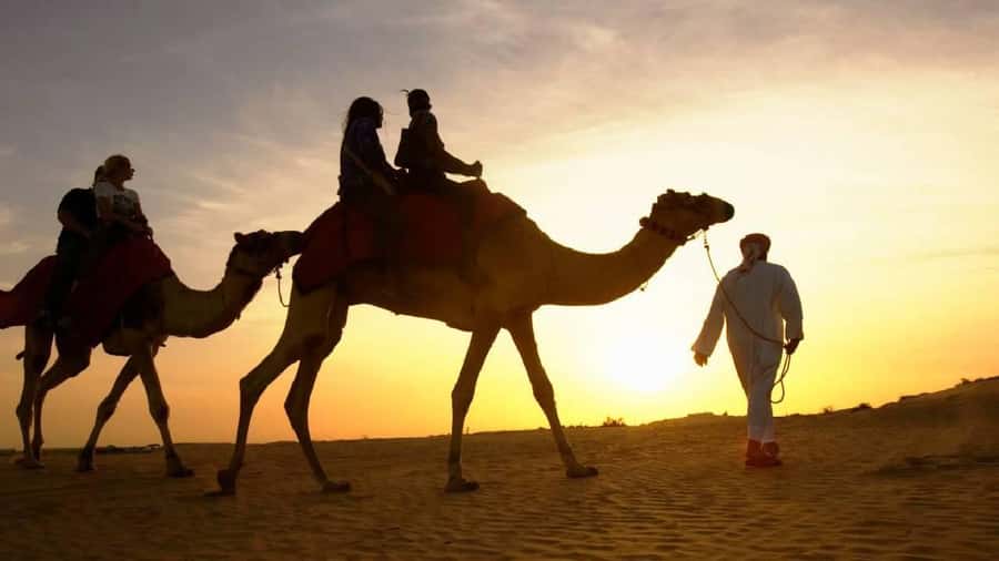 Sharm El Sheikh: Quad Biking, Camel Ride & Bedouin Dinner. - The quad-bike ride through the Sinai desert