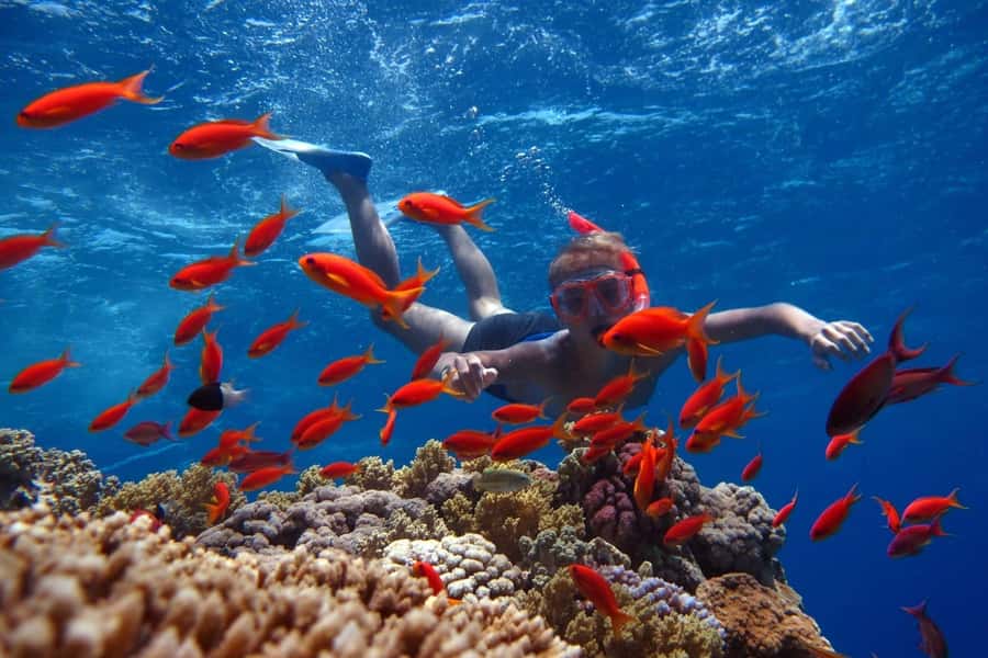 Sharm El Sheikh: Ras Mohamed Cruise with Snorkeling & Lunch - Sailing south toward Ras Muhammad