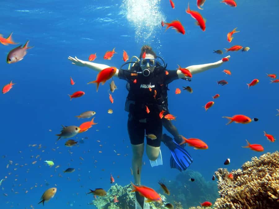 Sharm El Sheikh: Ras Mohamed Cruise with Snorkeling & Lunch - The second snorkeling stop