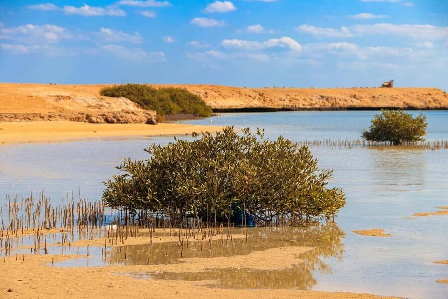 Sharm El-Sheikh: Ras Mohamed Half-Day Tour & Allah's Gate - The Ras Mohammed reef is the reason to go