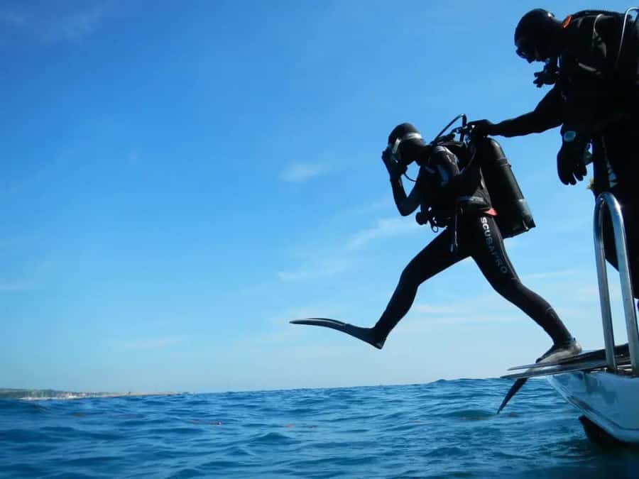 Sharm El Sheikh: Ras Mohamed & White Island Dive & Snorkel - Quick Take: What Makes This Trip Worth Considering