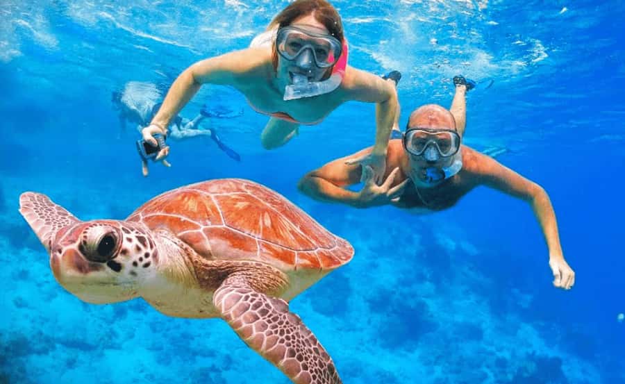 Sharm El Sheikh: Ras Mohamed & White Island Dive & Snorkel - From Hotel Pickup to the Sharm El Sheikh Marina