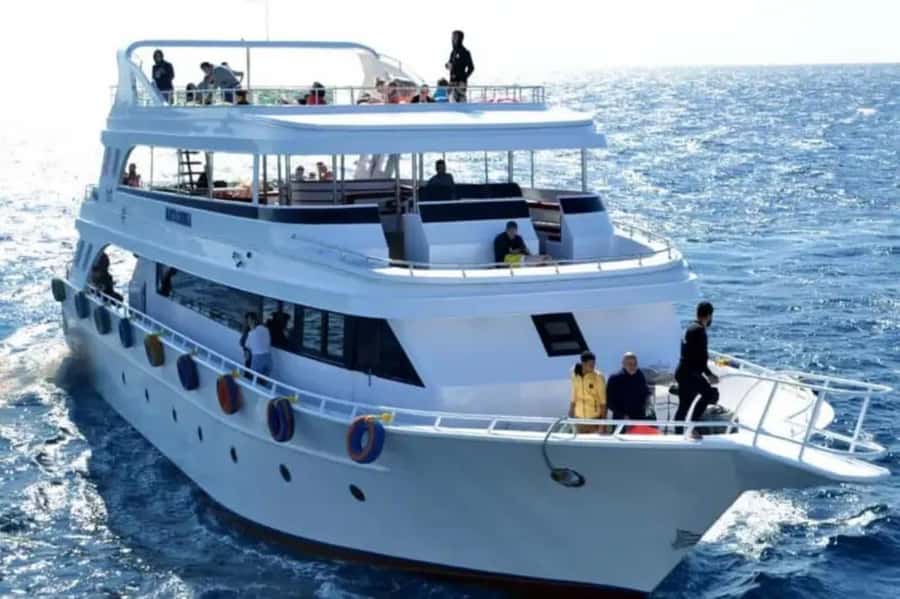 Sharm El Sheikh: Ras Mohamed & White Island Dive & Snorkel - First Water Stop: Getting Comfortable With Snorkeling