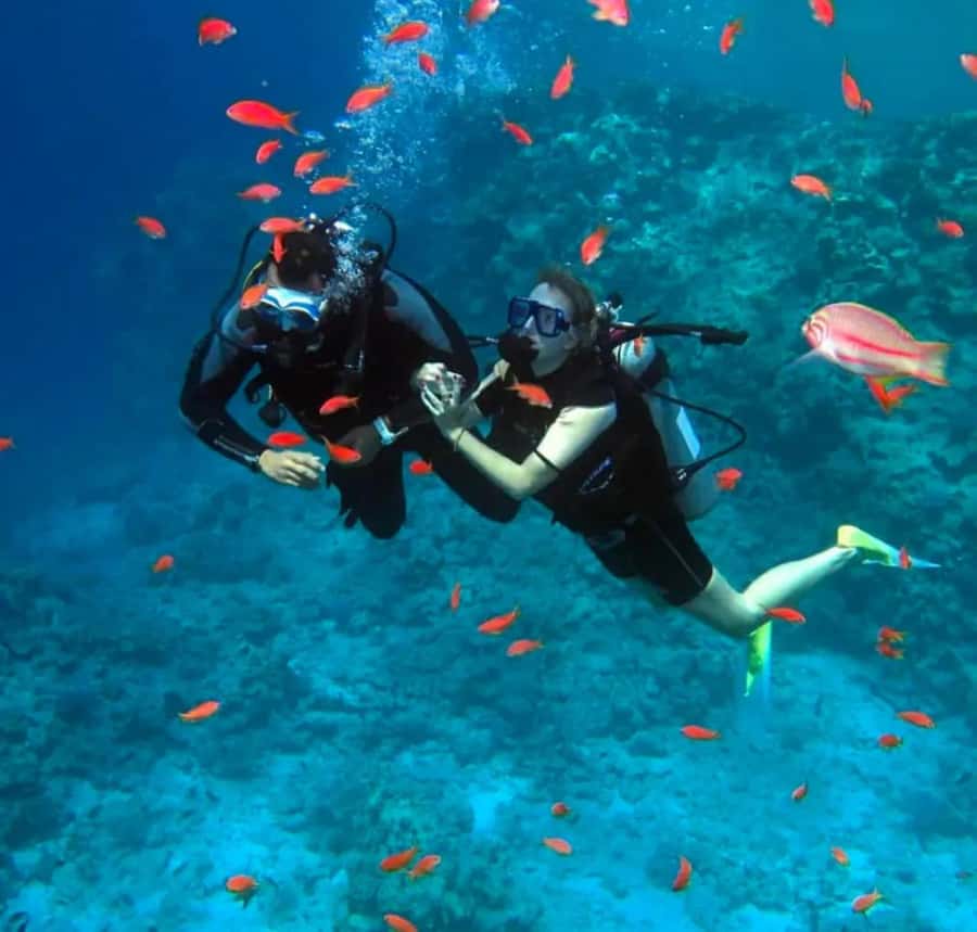 Sharm El Sheikh: Ras Mohamed & White Island Dive & Snorkel - Settling Into the Three-Level Yacht
