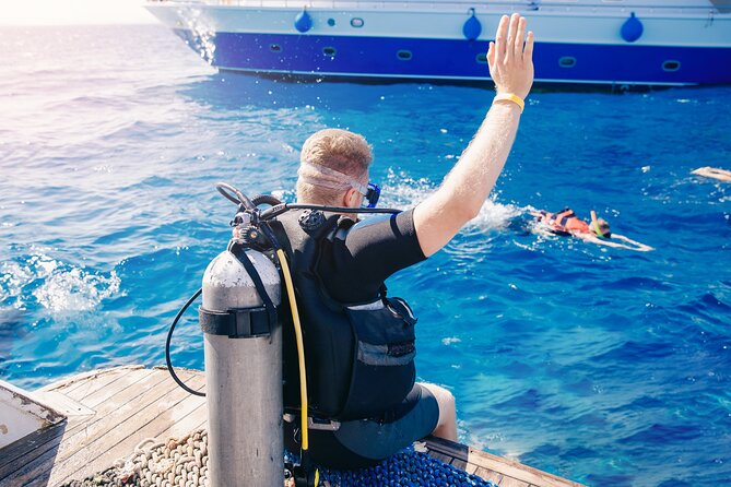 Sharm El Sheikh: Ras Mohamed, White Island, Snorkel and Diving - Snorkeling and scuba sessions at the reef