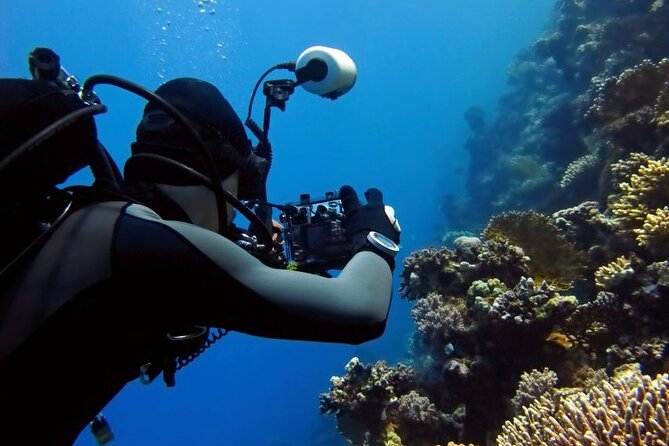 Sharm El Sheikh: Ras Mohamed, White Island, Snorkel and Diving - Sailing from Sharm El Sheikh marina