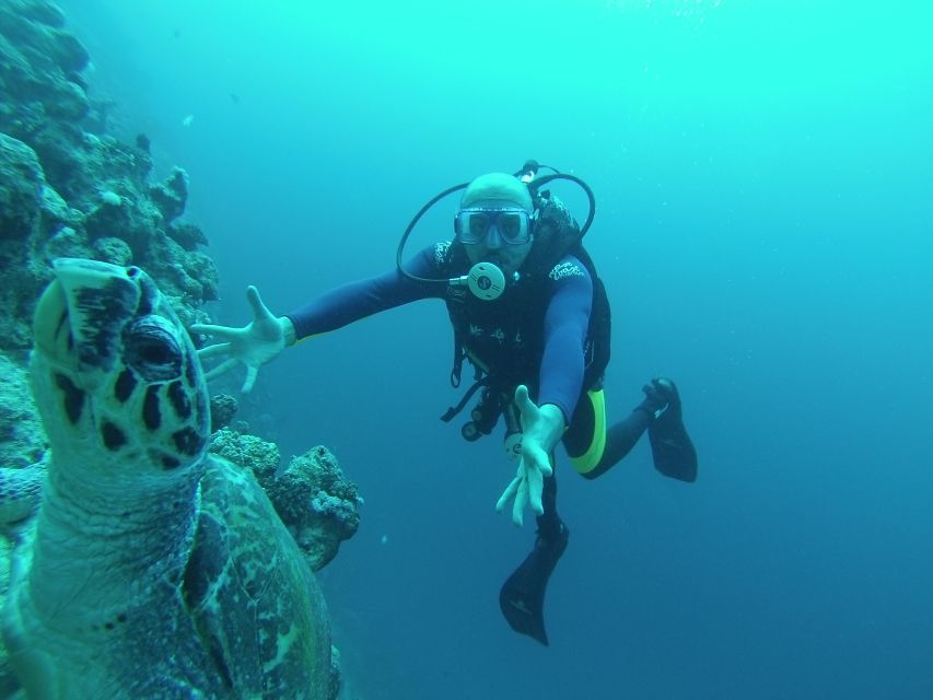 Sharm El Sheikh: Ras Mohamed & White Island Snorkel or Dive - What makes Ras Muhammad special
