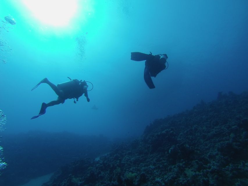 Sharm El Sheikh: Ras Mohamed & White Island Snorkel or Dive - White Island, the day’s bright pause