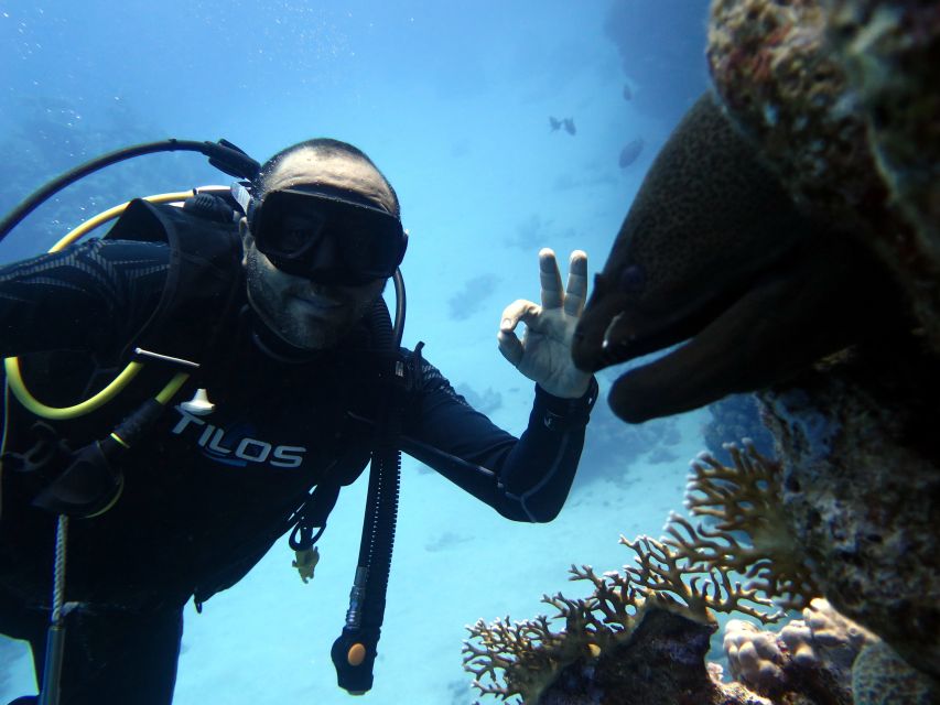 Sharm El Sheikh: Ras Mohamed & White Island Snorkel or Dive - Lunch, drinks, and life aboard the boat