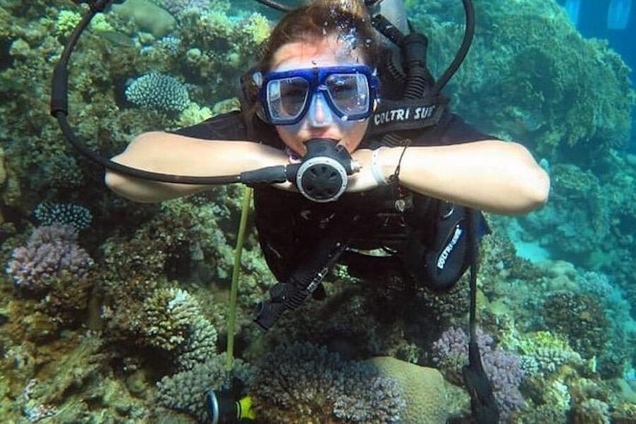 Sharm El Sheikh: Ras Mohamed & White Island Snorkel or Dive - Two reef stops with time to look around