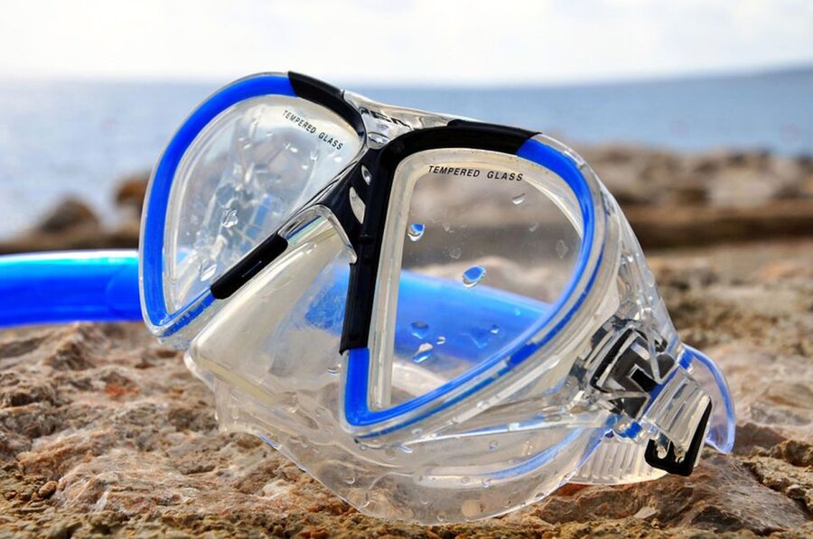 Sharm El-Sheikh: Ras Mohamed & White Island Snorkeling Trip - Who will enjoy this day most