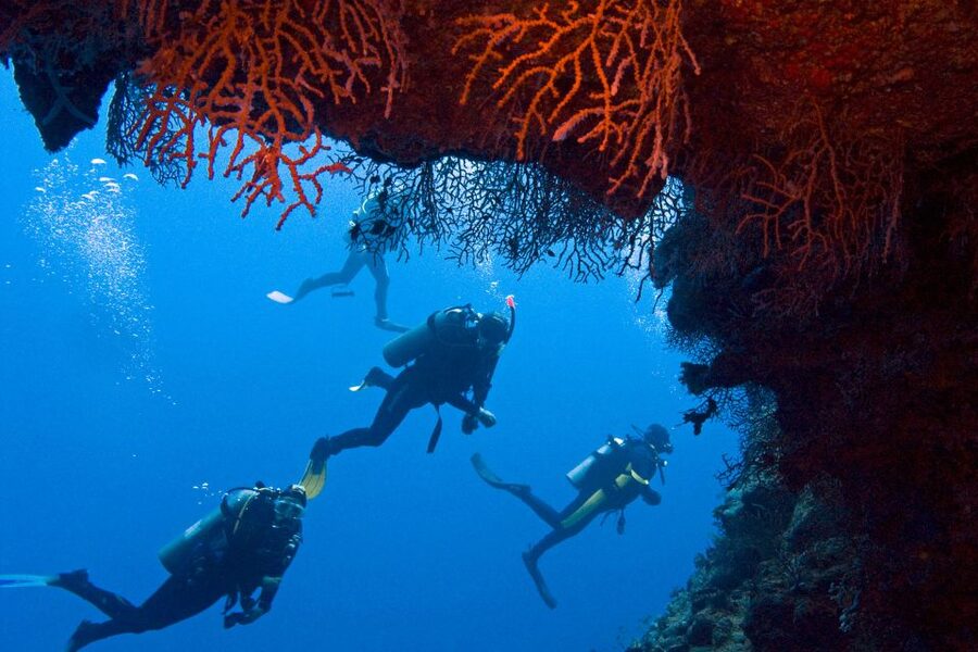 Sharm El-Sheikh: Ras Mohamed & White Island Snorkeling Trip - Two snorkeling stops over Red Sea coral