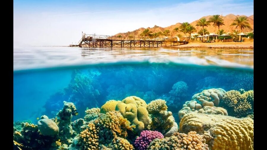 Sharm El-Sheikh: Ras Mohamed & White Island Snorkeling Trip - Scuba add-ons for first-timers