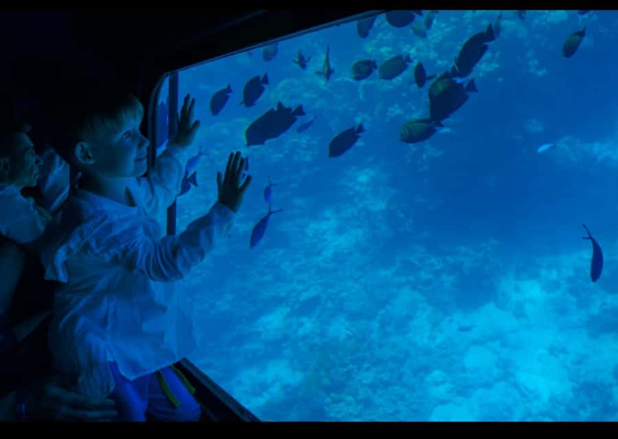 Sharm El-Sheikh: Royal Seascope Submarine Cruise with Pickup - What the Royal Seascope experience actually is
