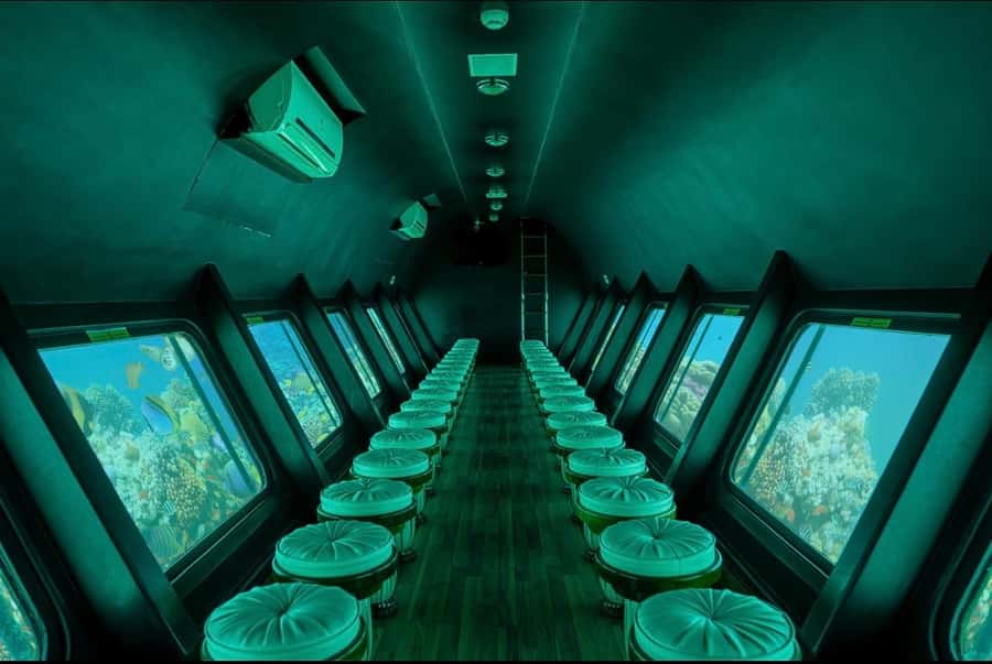 Sharm El-Sheikh: Royal Seascope Submarine Cruise with Pickup - What the marine life may look like