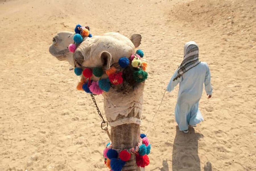 Sharm El-Sheikh: Ultimate ATV Quad, Stargazing & BBQ Dinner - Heat, water and what to pack