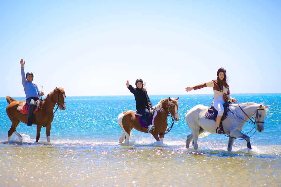 Sharm El Shiekh: Beach and City Desert Horse Riding Tour - Key details before you saddle up