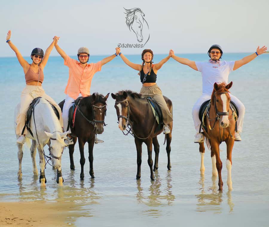 Sharm El Shiekh: Beach and City Desert Horse Riding Tour - Arriving at Edelweiss Equestrian Center