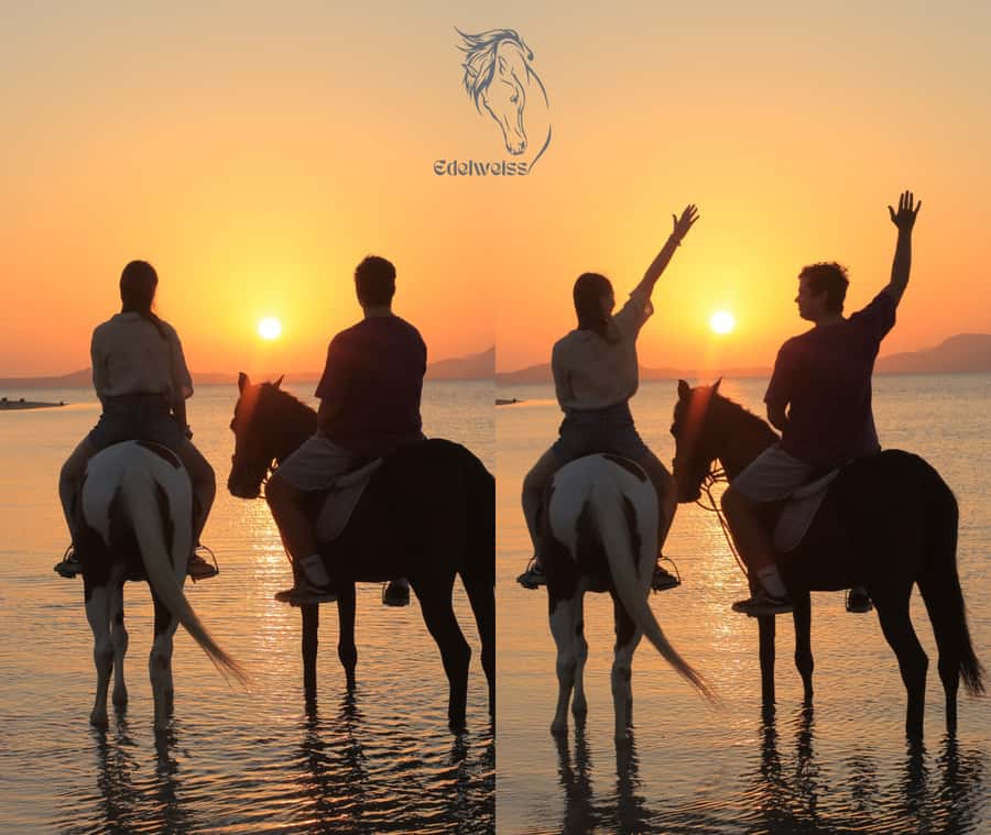 Sharm El Shiekh: Beach and City Desert Horse Riding Tour - Riding through the Sharm El Sheikh desert
