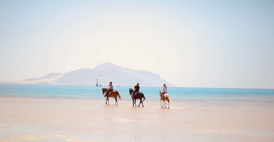 Sharm El Shiekh: Beach and City Desert Horse Riding Tour - Photos, prices, and avoiding surprises