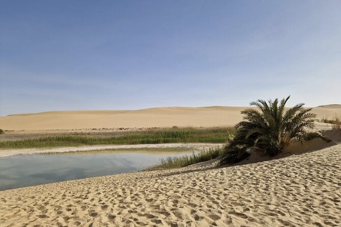 Siwa Oasis All Inclusive Tour From Cairo - Floating in Siwa’s salt lakes