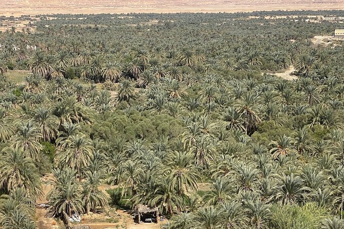 Siwa Oasis tour lifetime Experience 2 days &1night all inclusive - The Mountain of the Dead and its painted tombs