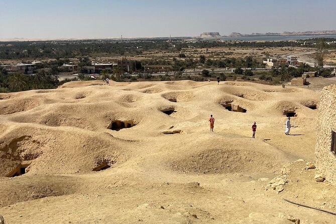Siwa Oasis tour lifetime Experience 2 days &1night all inclusive - Dinner and the ecolodge overnight stay