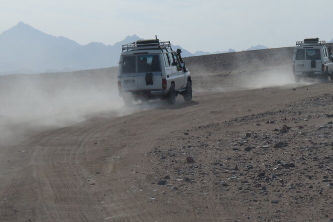 Small Group Full Day Hurghada Experience with BBQ and Show - Key points at a glance