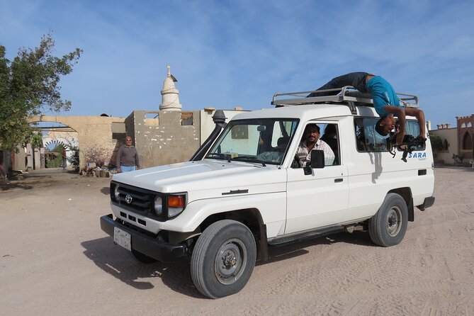 Small Group Full Day Hurghada Experience with BBQ and Show - Why this seven-hour Hurghada outing works