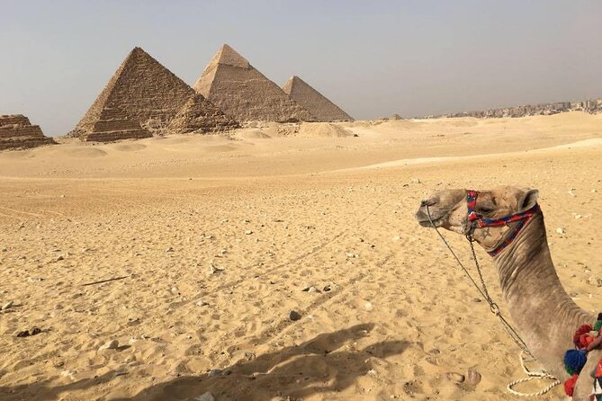 small group trip to Cairo from Hurghada - The Egyptian Museum and Tutankhamun’s treasures