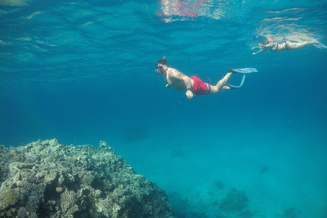 Snorkeling and Diving to Ras Mohamed And White Island by VIP Boat - Why Ras Mohamed makes this boat trip worthwhile