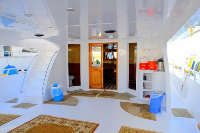 Snorkeling and Diving to Ras Mohamed And White Island by VIP Boat - How the service and boat day work in practice
