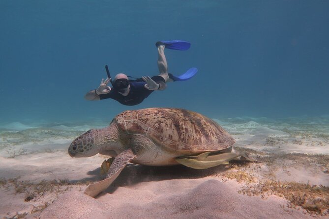 Snorkeling Boat Trip with Dugongs and Turtles in Marsa Alam - The 25-minute boat ride to the snorkeling area