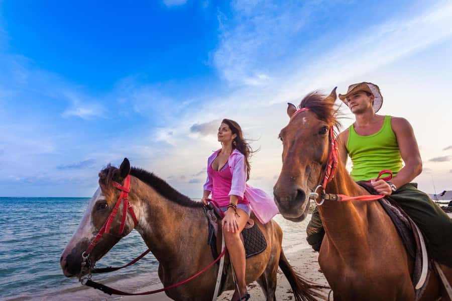 Soma Bay: Horse Riding Beach and Desert Tour With Transfer - Key points before you saddle up