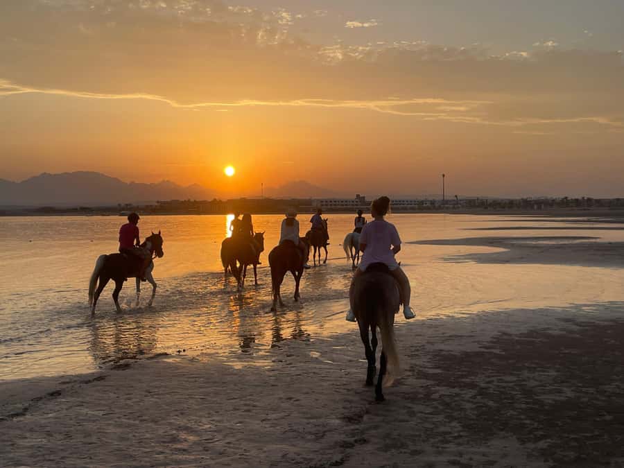 Soma Bay: Horse Riding Beach and Desert Tour With Transfer - What to wear and what to bring