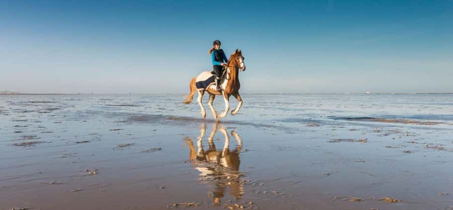 Soma Bay: Horse Riding Beach and Desert Tour With Transfer - A simple two-hour way to see Soma Bay