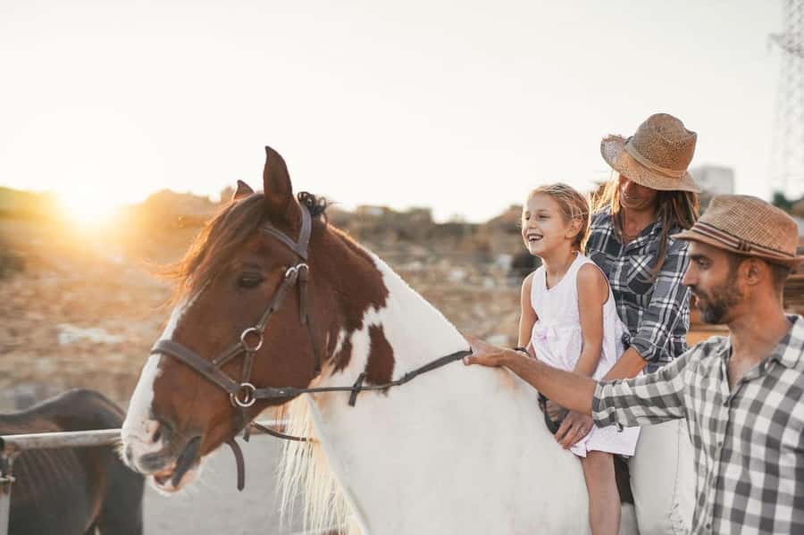 Soma Bay: Horse Riding Beach and Desert Tour With Transfer - Meeting the horse and choosing your pace