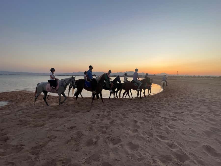Soma Bay: Horse Riding Beach and Desert Tour With Transfer - Along the Red Sea beach