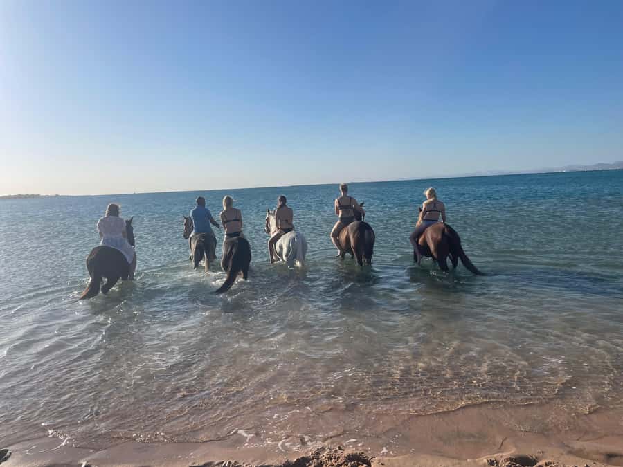 Soma Bay: Horse Riding Beach and Desert Tour With Transfer - Through the desert on horseback